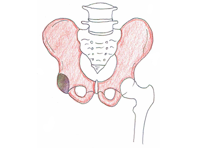 寛骨（かんこつ）