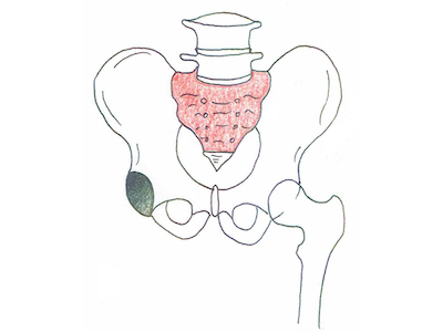 仙骨（せんこつ）